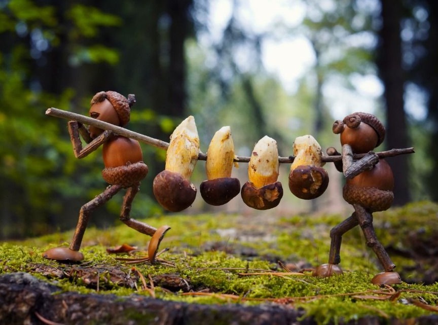 Acorn elves with mushrooms postcard _ Zazzle_com.jpg